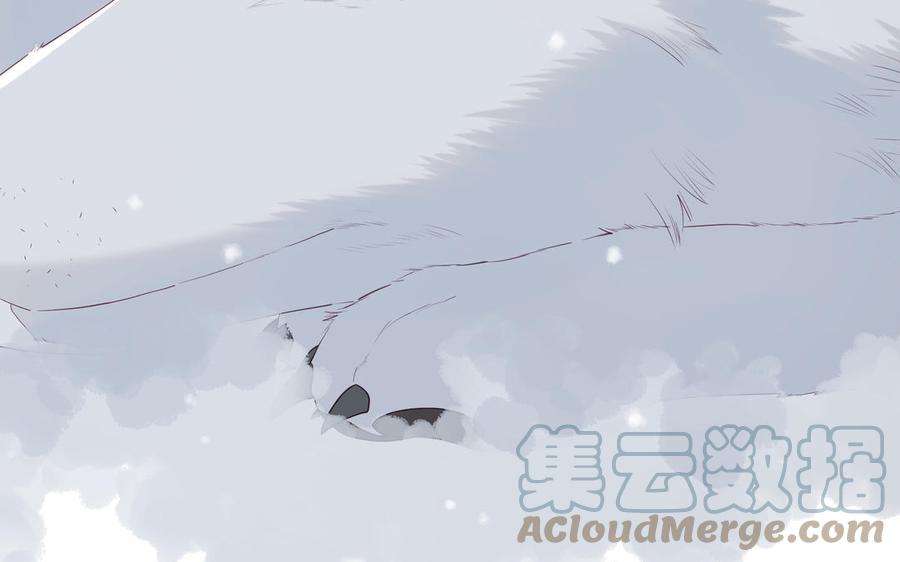 恶女拒绝泡男主40话 麟的亲人