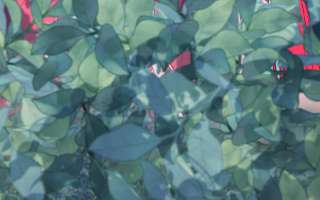 恶女拒绝泡男主66话 这是“七”形的爱！