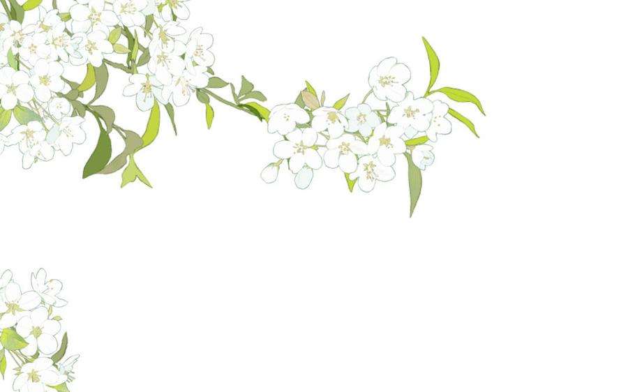恶女拒绝泡男主72话 执念