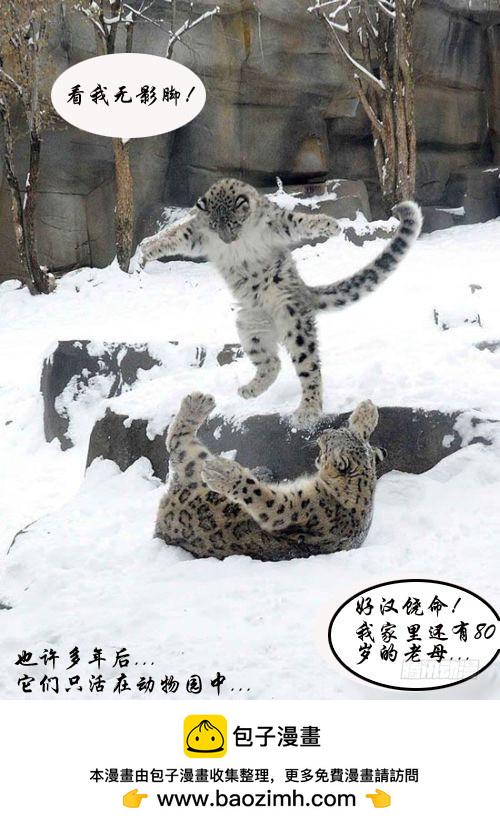 零度审判第一话 异兽突袭（上）