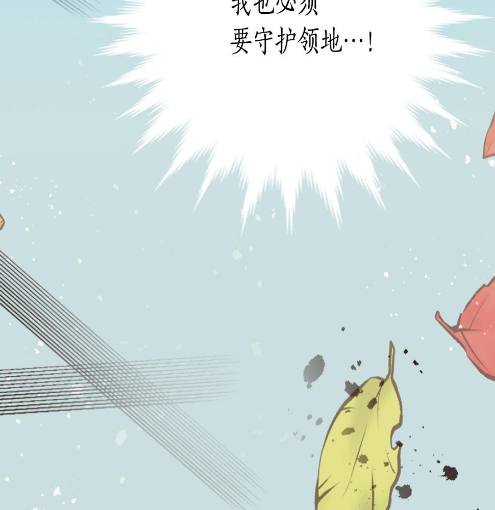 退婚恶女在旷野生存第七话 荒唐的圣女