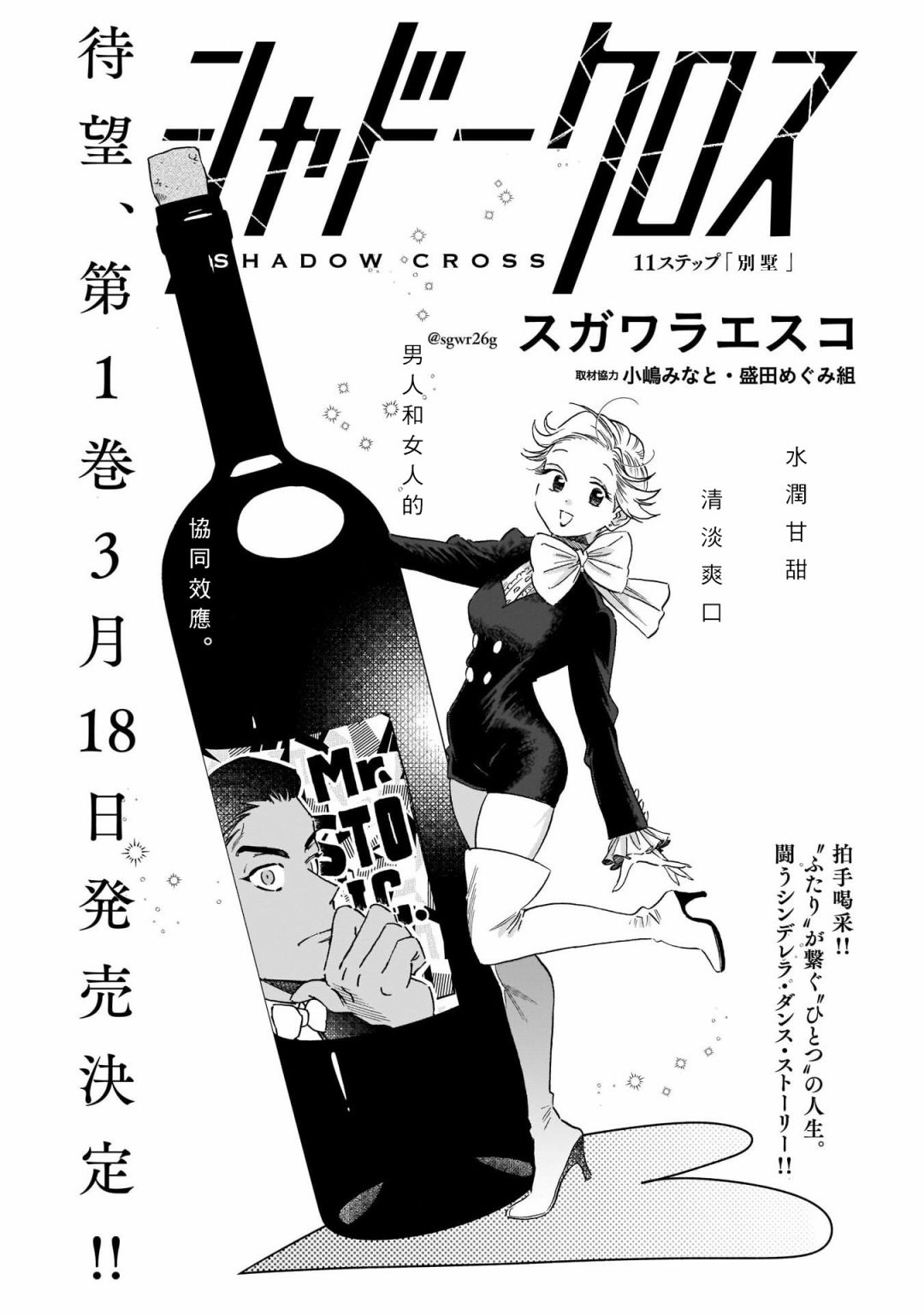 shadow cross第11话
