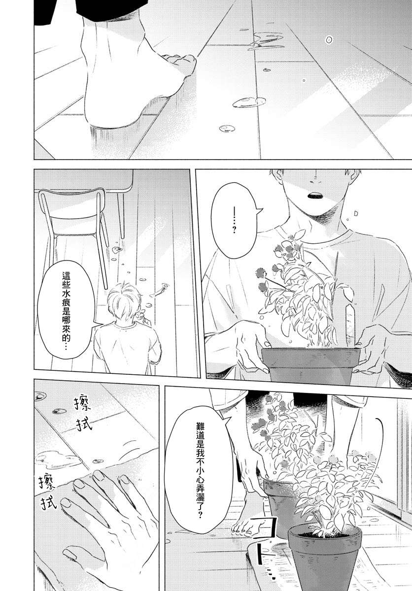 掌心猫猫第01话