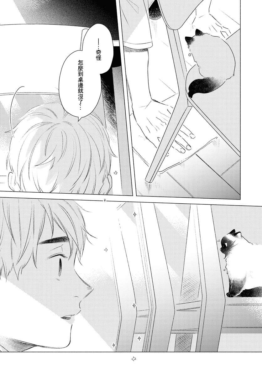 掌心猫猫第01话