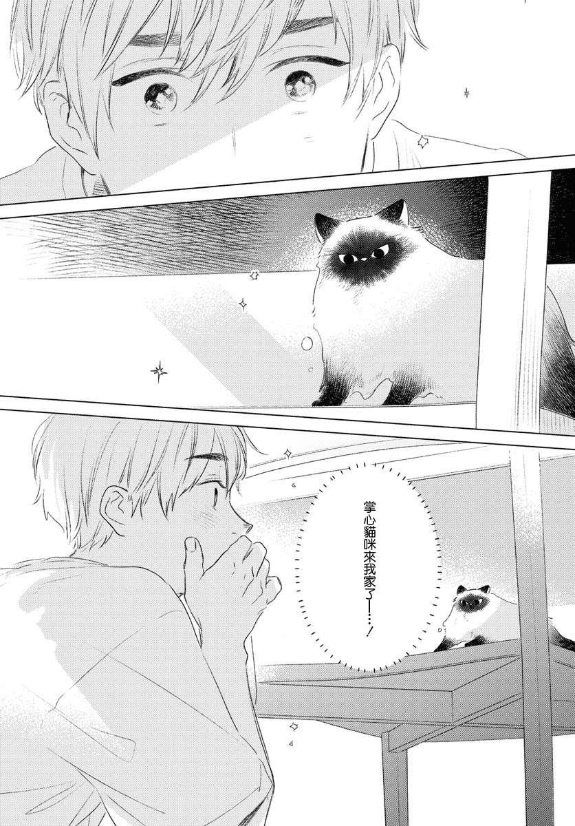 掌心猫猫第01话