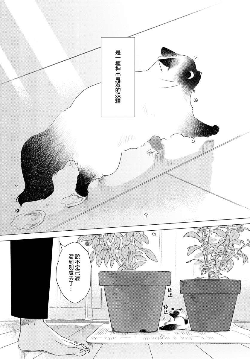 掌心猫猫第01话
