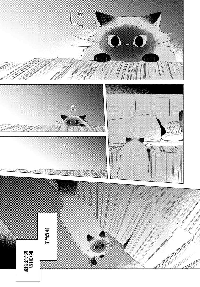 掌心猫猫第02话