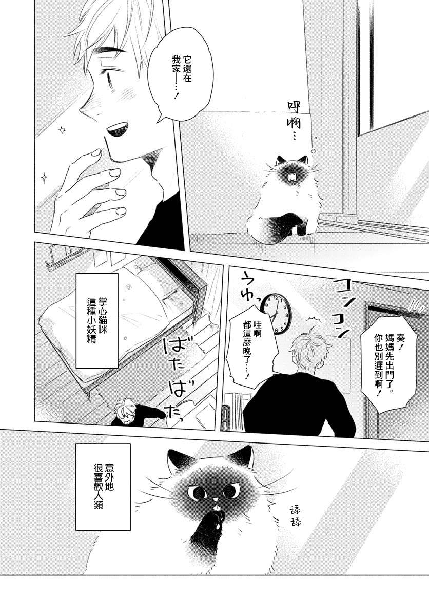 掌心猫猫第02话