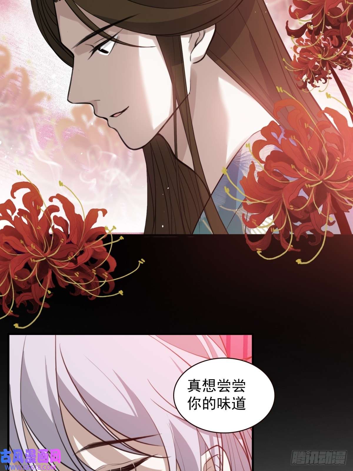 七星与南笙第9话