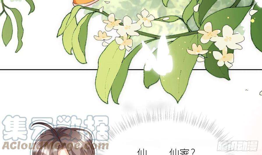 腹黑花妖买一送一1话 开局喜当妈
