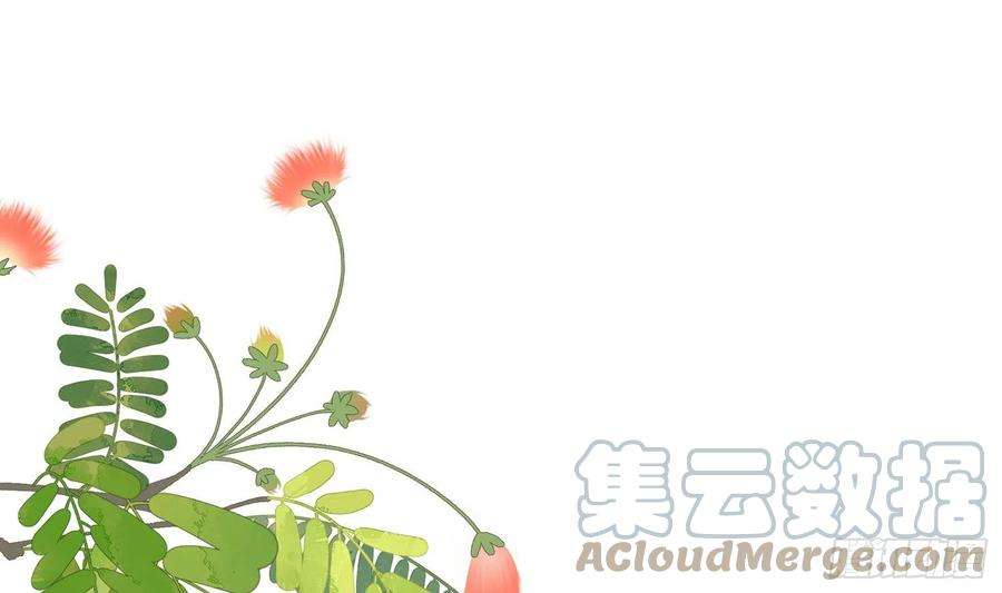 腹黑花妖买一送一10话 娘子要被抢了？！