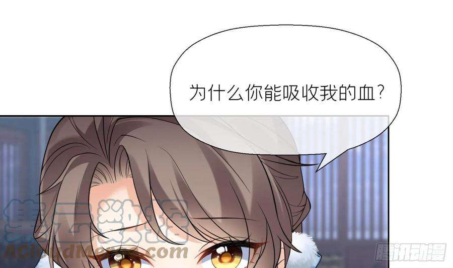 腹黑花妖买一送一12话 温柔的溪客尊主
