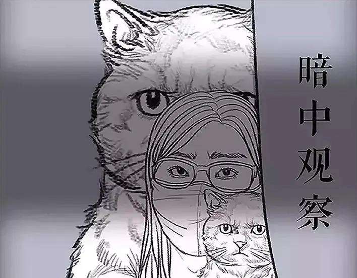 胡渣少女职场宫心计（下）