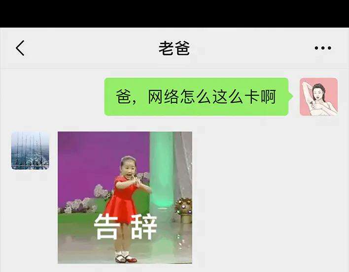 胡渣少女囤年货