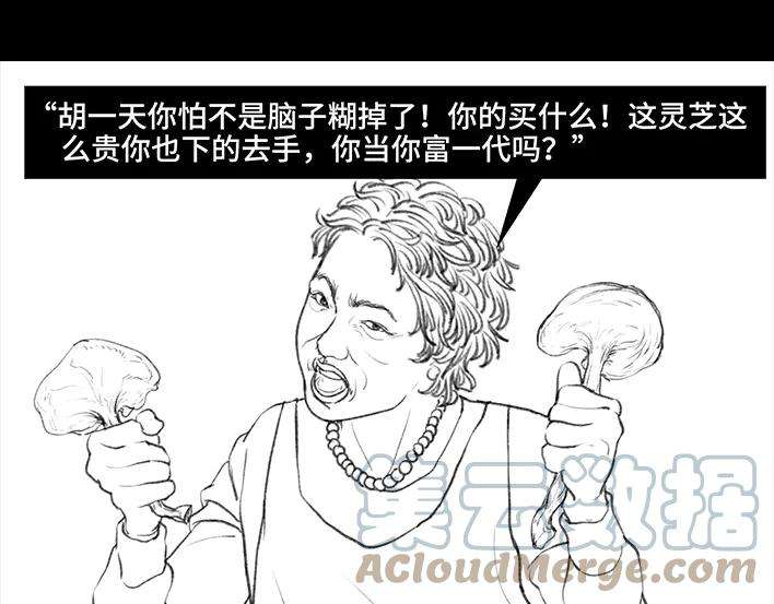 胡渣少女囤年货