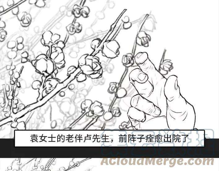 胡渣少女“特殊”情人节