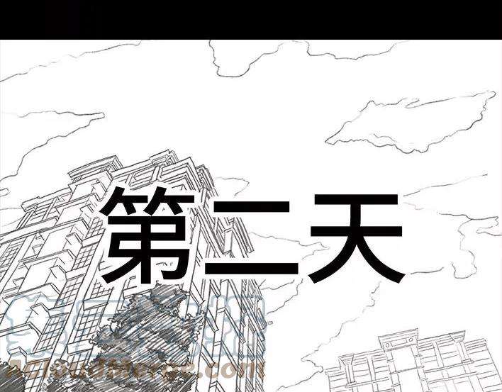 胡渣少女恋爱军师