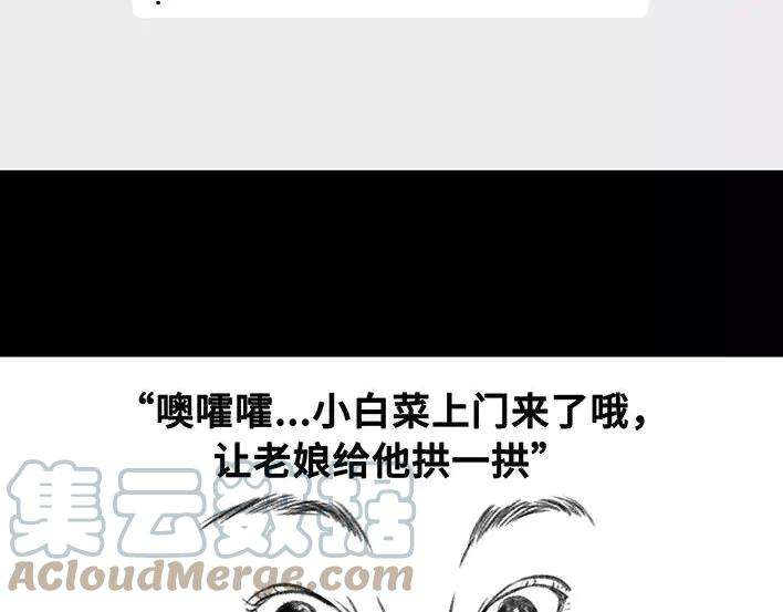 胡渣少女爱与battle