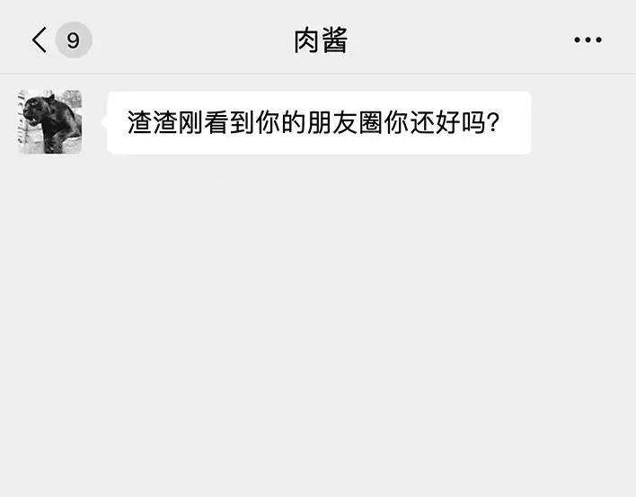 胡渣少女爱与battle