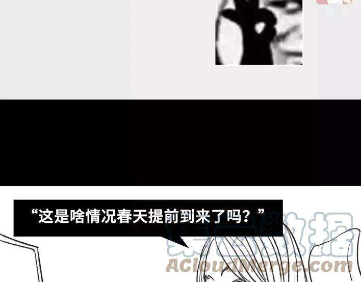 胡渣少女爱与battle