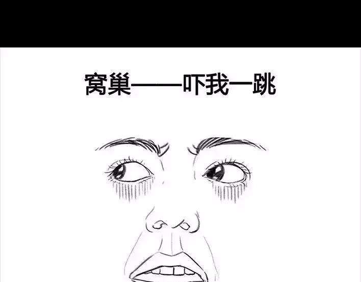 胡渣少女危险关系