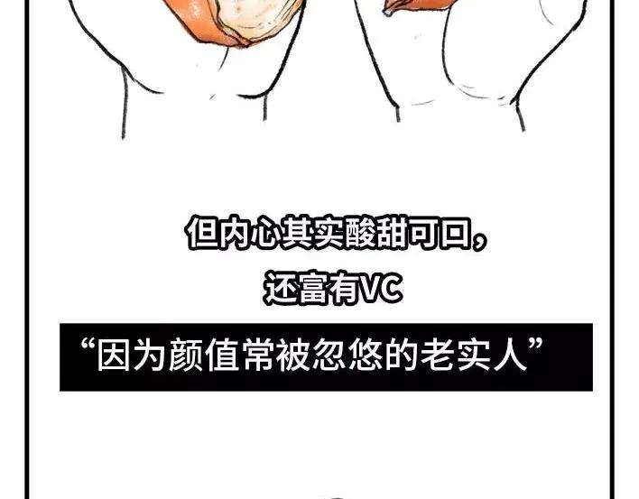 胡渣少女水果男子图鉴