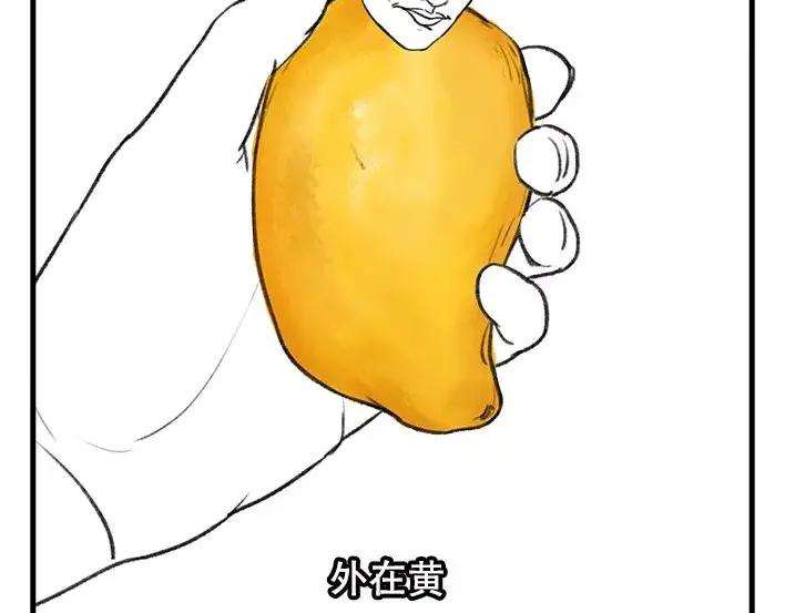 胡渣少女水果男子图鉴