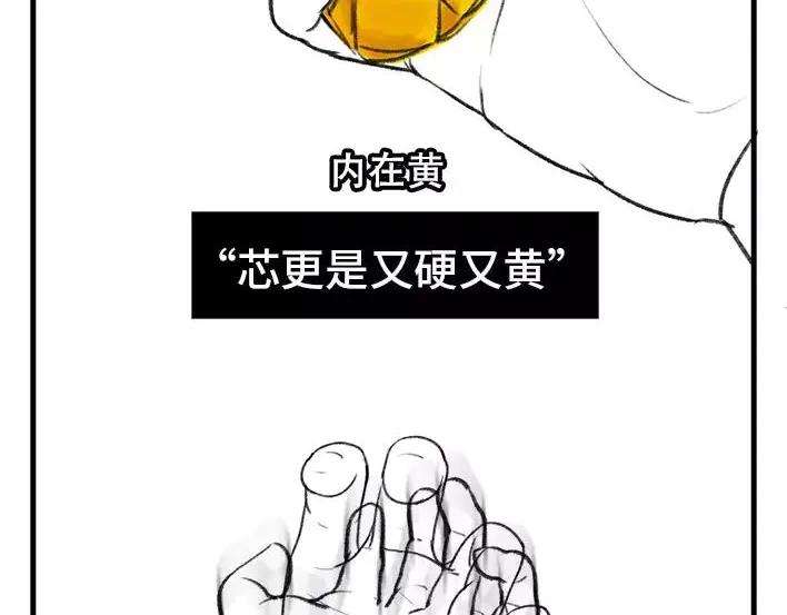 胡渣少女水果男子图鉴