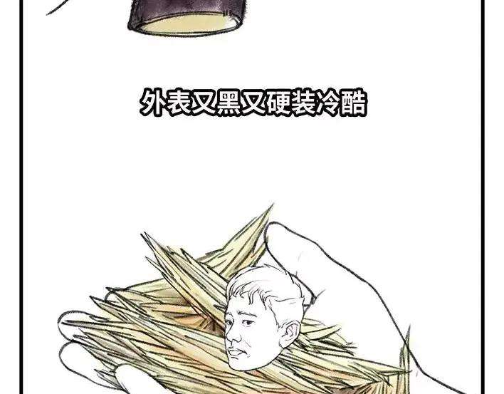 胡渣少女水果男子图鉴