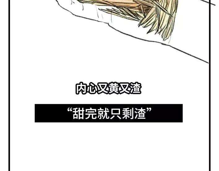 胡渣少女水果男子图鉴