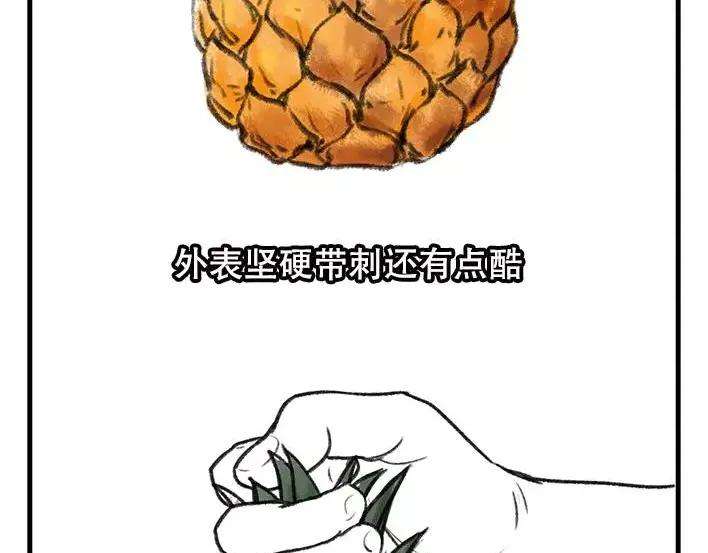 胡渣少女水果男子图鉴
