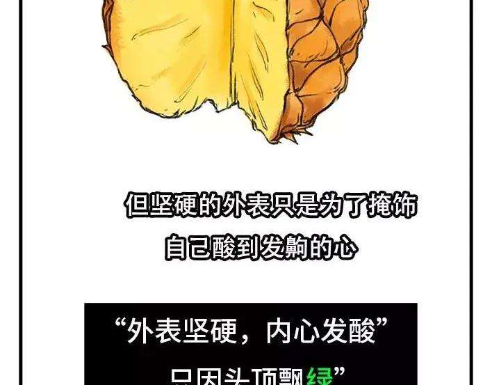 胡渣少女水果男子图鉴