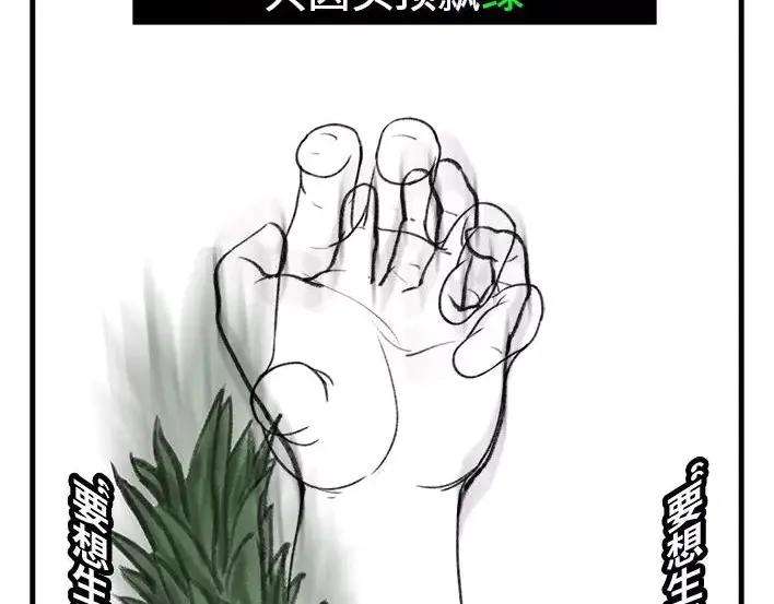 胡渣少女水果男子图鉴