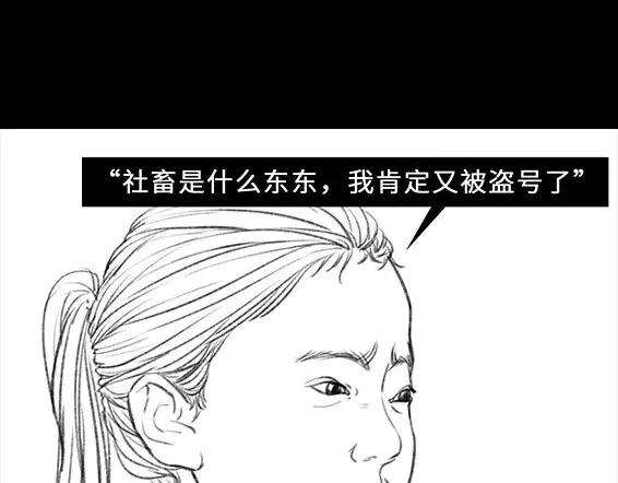 胡渣少女穿越者的自述