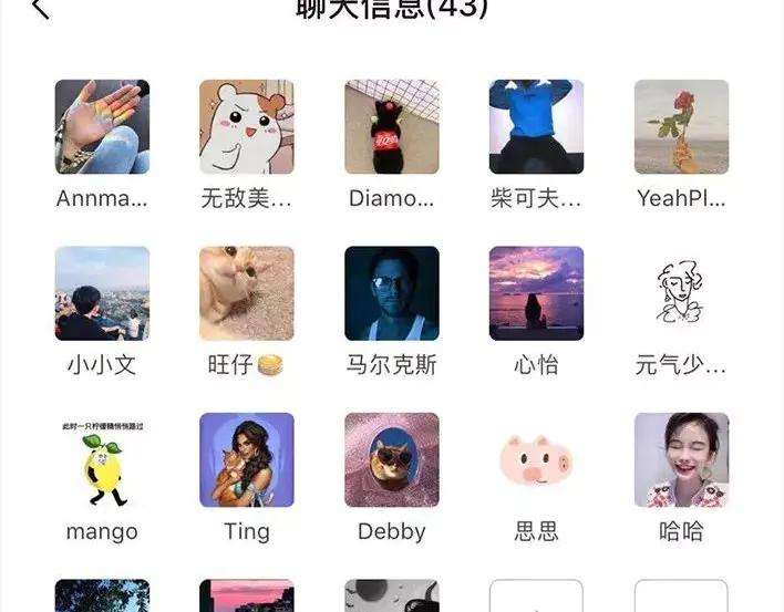 胡渣少女社团情爱