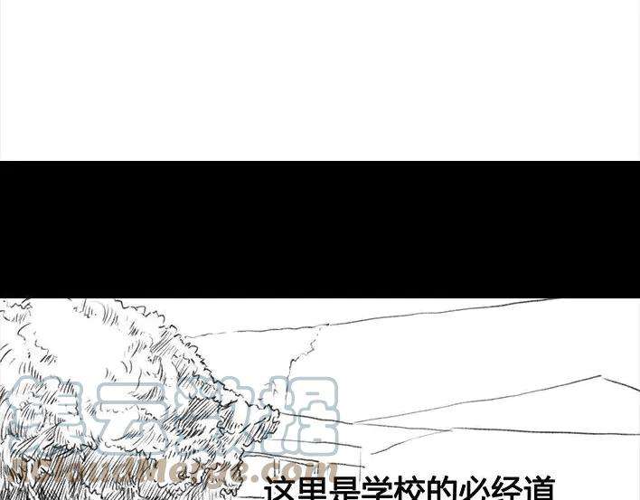 胡渣少女社团情爱