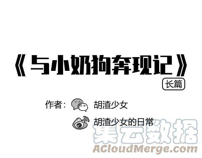 胡渣少女与小奶狗奔现记