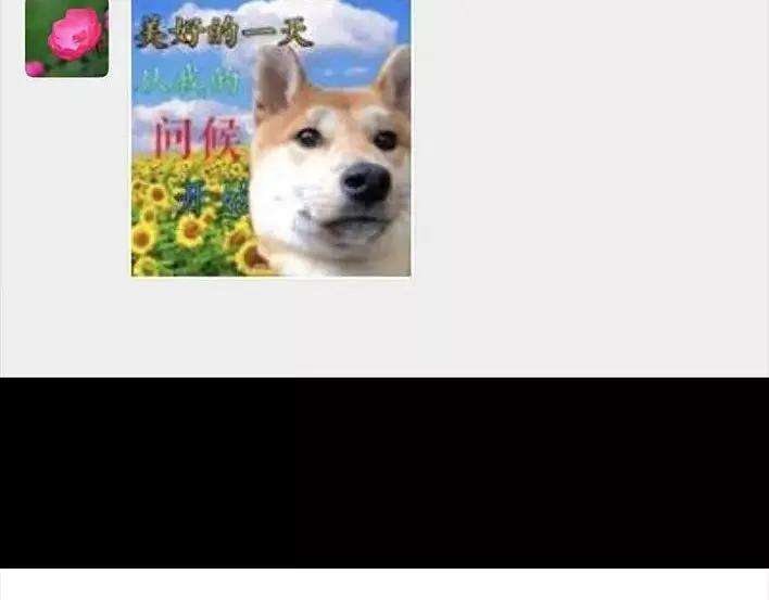 胡渣少女生日炸药包