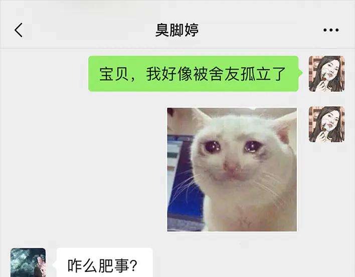 胡渣少女宿舍孤立