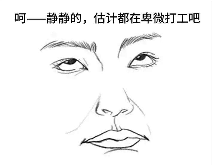 胡渣少女一场会议，我亲手埋葬我的钱途
