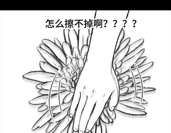 胡渣少女揭秘妙龄少女“痔疮手术”全过程