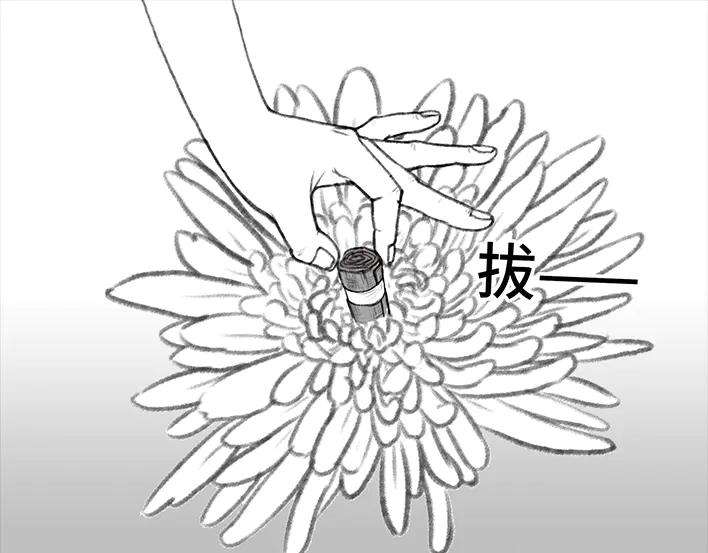 胡渣少女痔疮手术后，我在鬼门关走了80