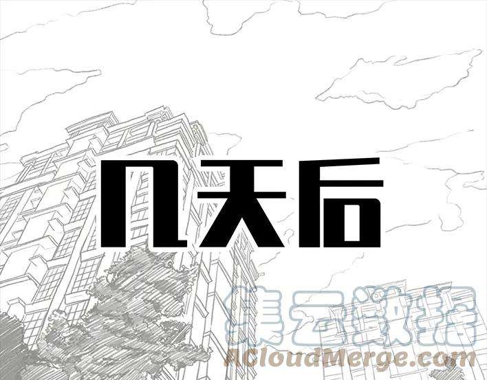 胡渣少女因果报应