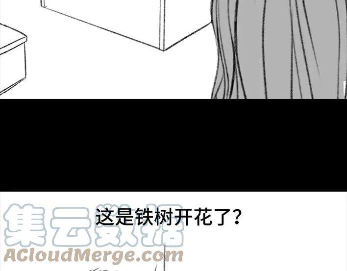 胡渣少女铁树开花