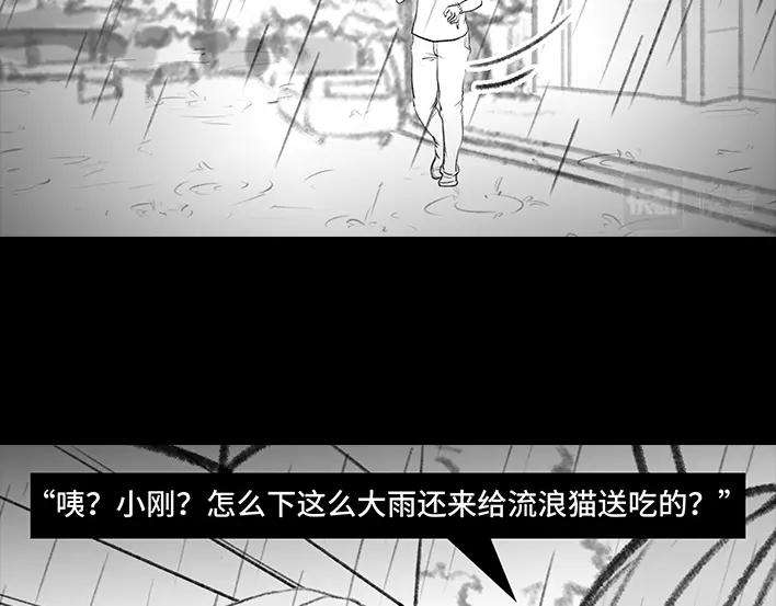 胡渣少女爱情算命师