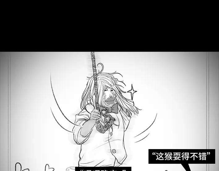 胡渣少女春节保命指南