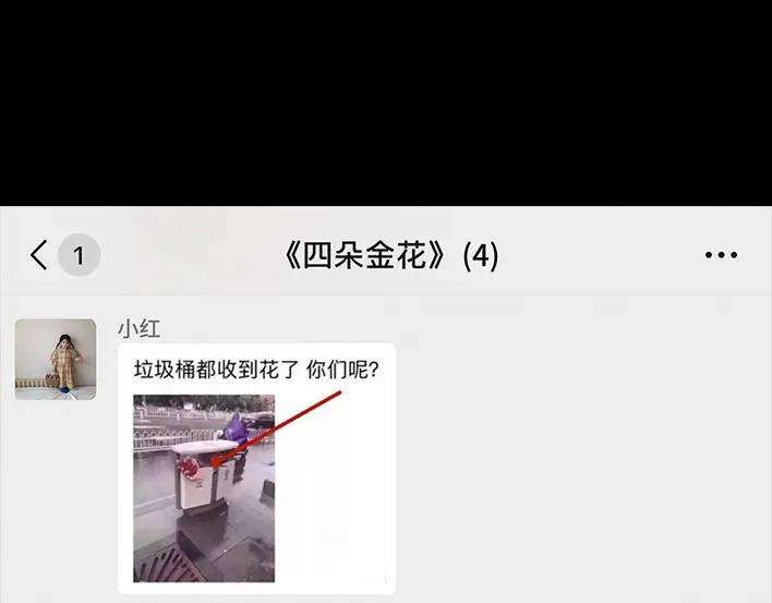 胡渣少女情人劫
