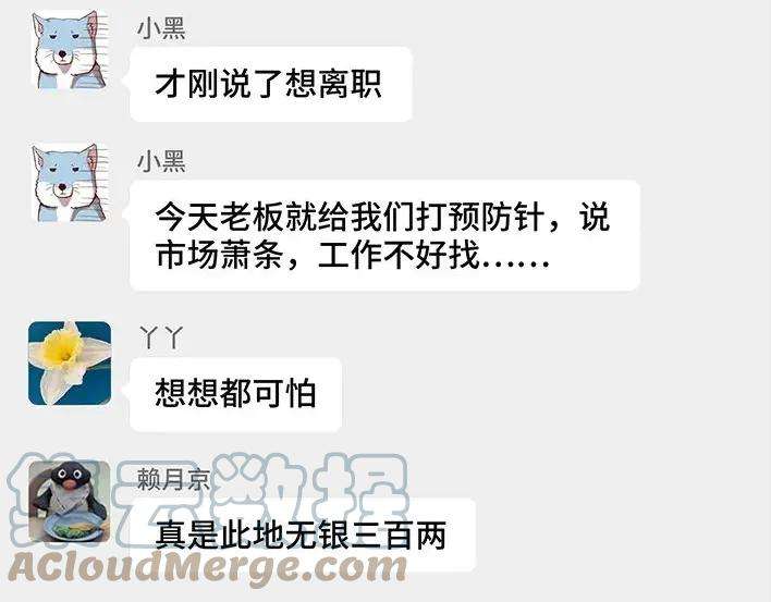 胡渣少女无间道