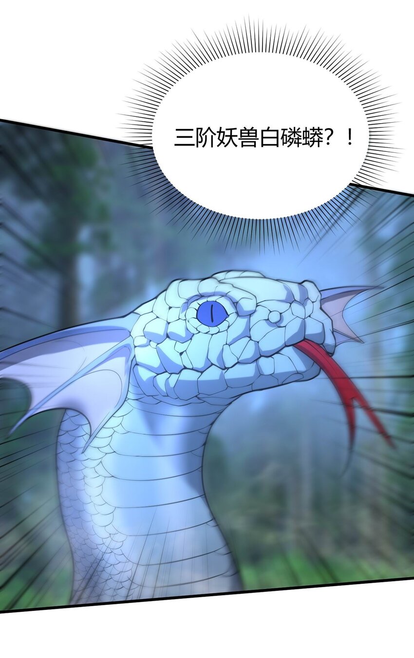 开局觉醒吞噬系统06 剑斩长虫！