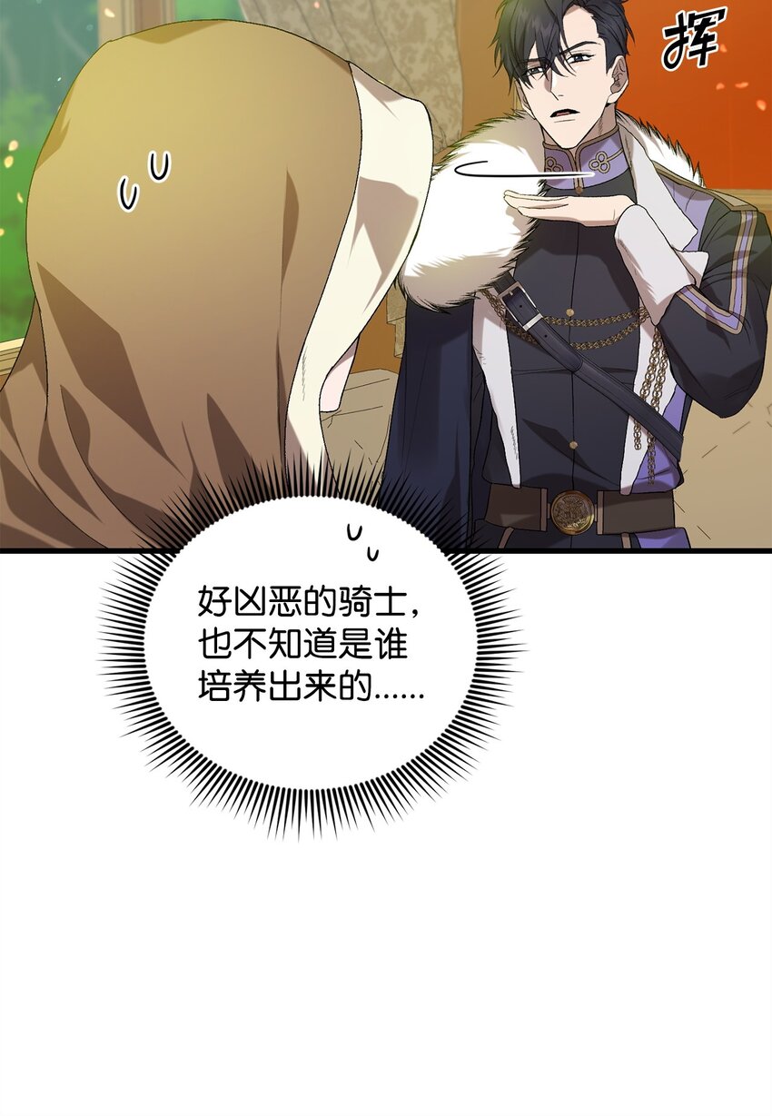 炮灰骑士今天也想守护病弱公爵07 面见舒马赫